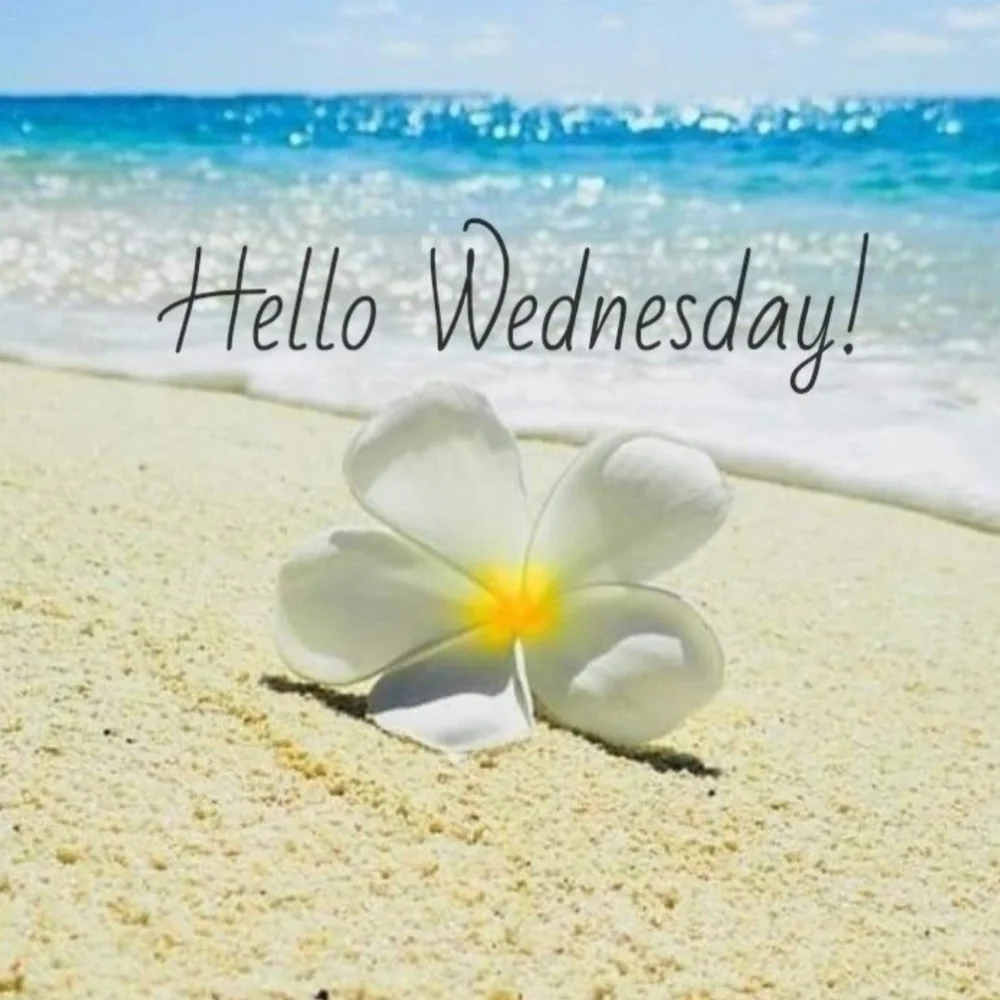Hello Wednesday! Sales Are Happening! - Picture 2 of 4